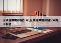 区块链数据存储公司[区块链数据存储公司是干嘛的]