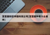 宣亚国际区块链科技公司[宣亚国际是什么板块]